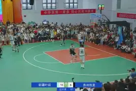  樊振东男单决赛回放 